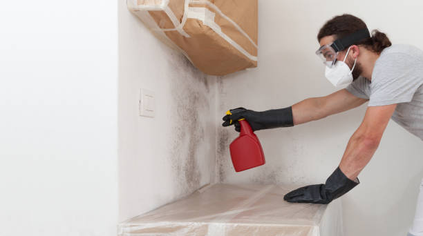 Basement Mold Remediation treatment on basement walls in Newport